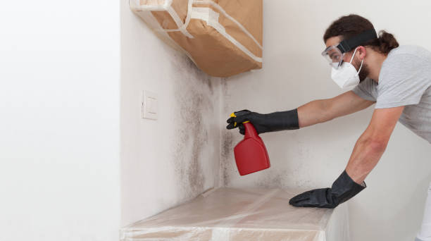 Professional Mold Removal technician working in Topinabee, MI